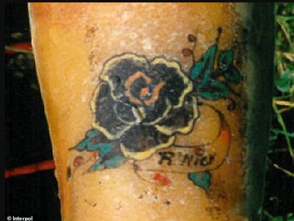 "Женщина с цветочной татуировкой": раскрыто преступление, совершенное более 30 лет назад